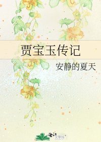 《贾宝玉传记》