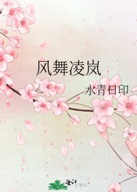 《风舞凌岚》