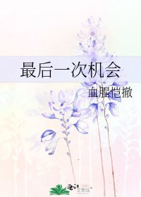 《最后一次机会》