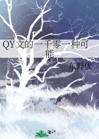 《QY文的一千零一种可能》