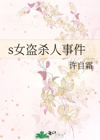 《s女盗杀人事件》