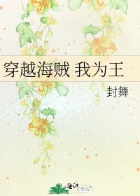 穿越海贼 我为王