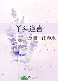 《丫头逢喜》