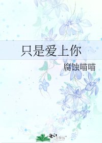 《只是爱上你》