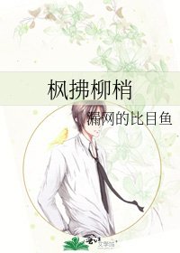 《枫拂柳梢》