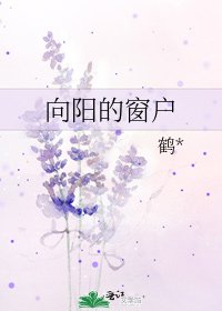 向阳的窗户