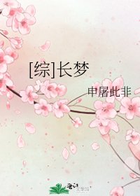 [综]长梦