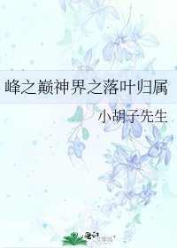 峰之巅神界之落叶归属