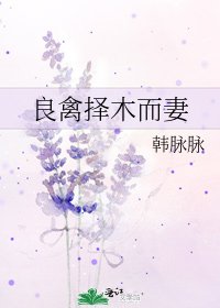良禽择木而妻