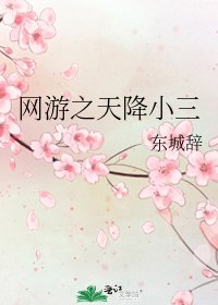 《网游之天降小三》