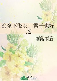 《窈窕不淑女,君子也好逑》