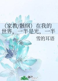 《(家教/骸纲)在我的世界,一半是光,一半是影》