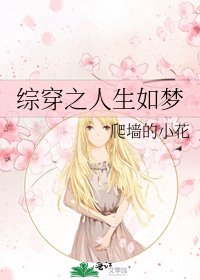 综穿之人生如梦