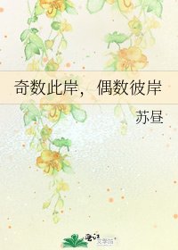 《奇数此岸,偶数彼岸》