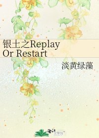 《银土之Replay Or Restart》
