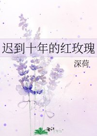 迟到十年的红玫瑰