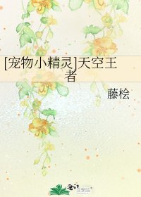 [宠物小精灵]天空王者