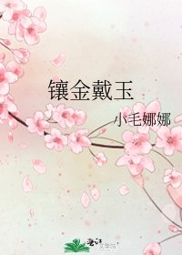 镶金戴玉