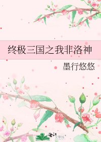 《终极三国之我非洛神》