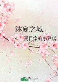 《沐夏之城》