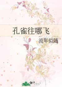 《孔雀往哪飞》