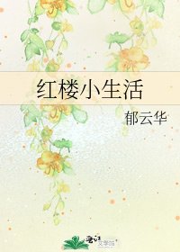 《红楼小生活》