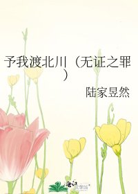 《予我渡北川(无证之罪)》