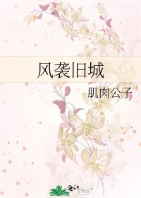 《风袭旧城》
