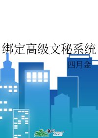 《绑定高级文秘系统》