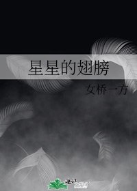 《星星的翅膀》