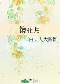 《镜花月》