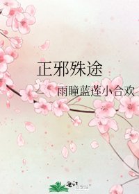 《正邪殊途》