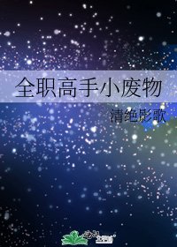 《全职高手小废物》