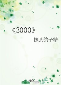 《3000》