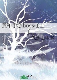 《我和手游boss杠上了》