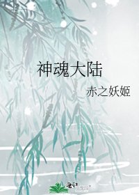 《神魂大陆》