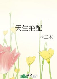 《天生绝配》