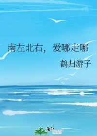 《南左北右,爱哪走哪》