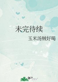 《未完待续》