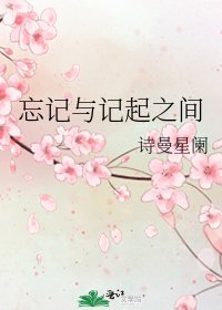 《忘记与记起之间》