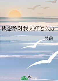 《假想敌对我太好怎么办》