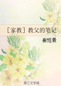 （BL/家教同人）［家教］教父的笔记
