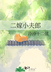 《二嫁小夫郎》