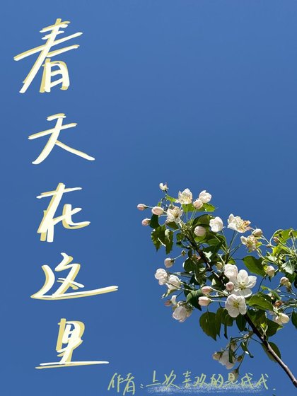 《春天在这里》