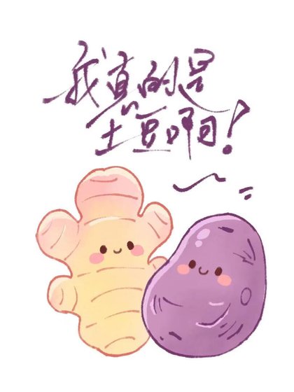 《我真的是土豆啊!》