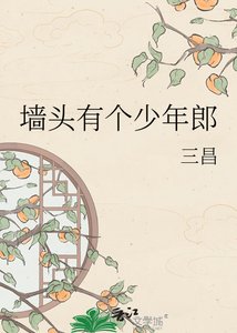 《墙头有个少年郎》