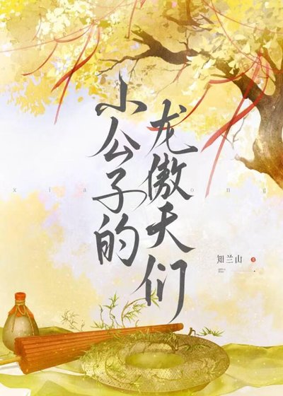 《小公子的龙傲天们》