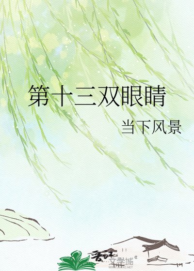 《第十三双眼睛》