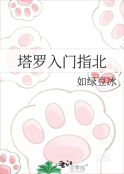 《塔罗入门指北》