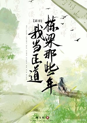 [霹雳]我当正道栋梁那些年
